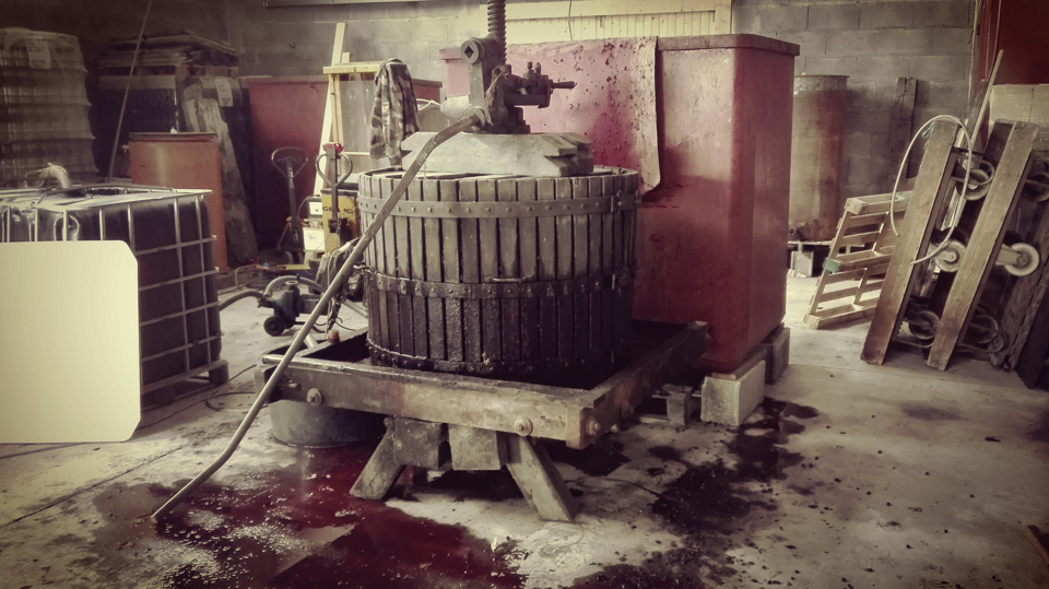 photo vinification n°9